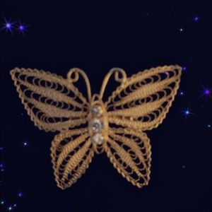 Beautiful butterfly broach!!